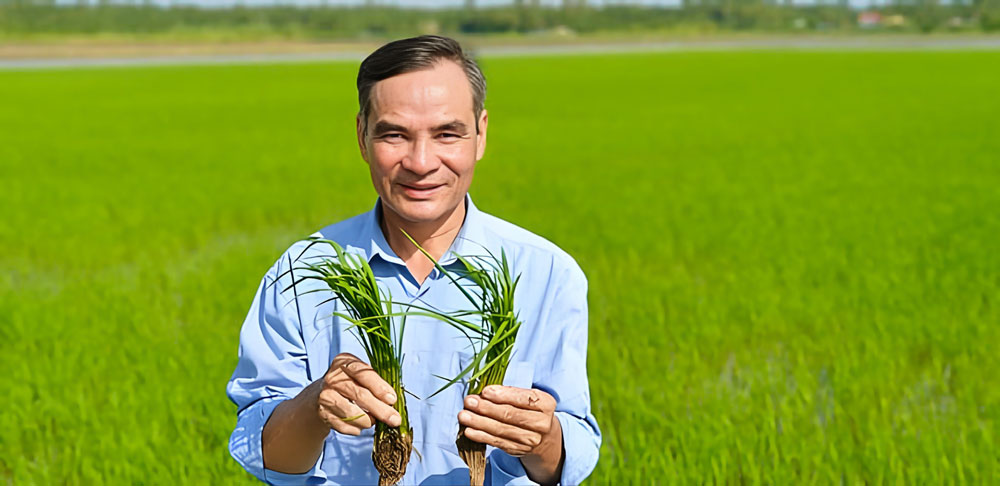 Ông Chín Vui thăm ruộng lúa. Ảnh: TRÀ MY