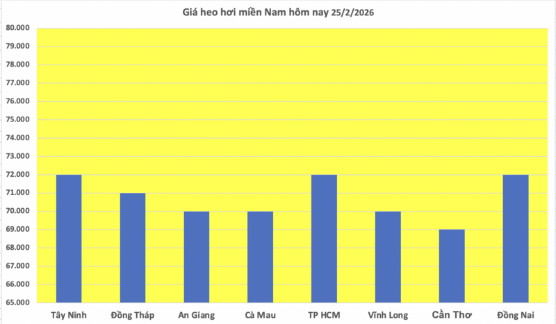 Giá heo hơi hôm nay 25/2/2026: Tiếp đà đi xuống - 3