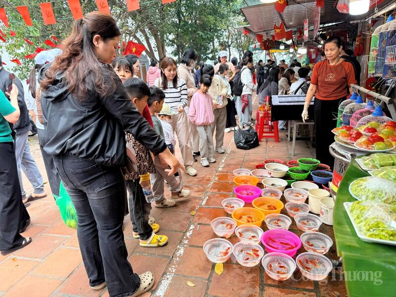 Khu vực bán cá, ốc, lươn phóng sinh.