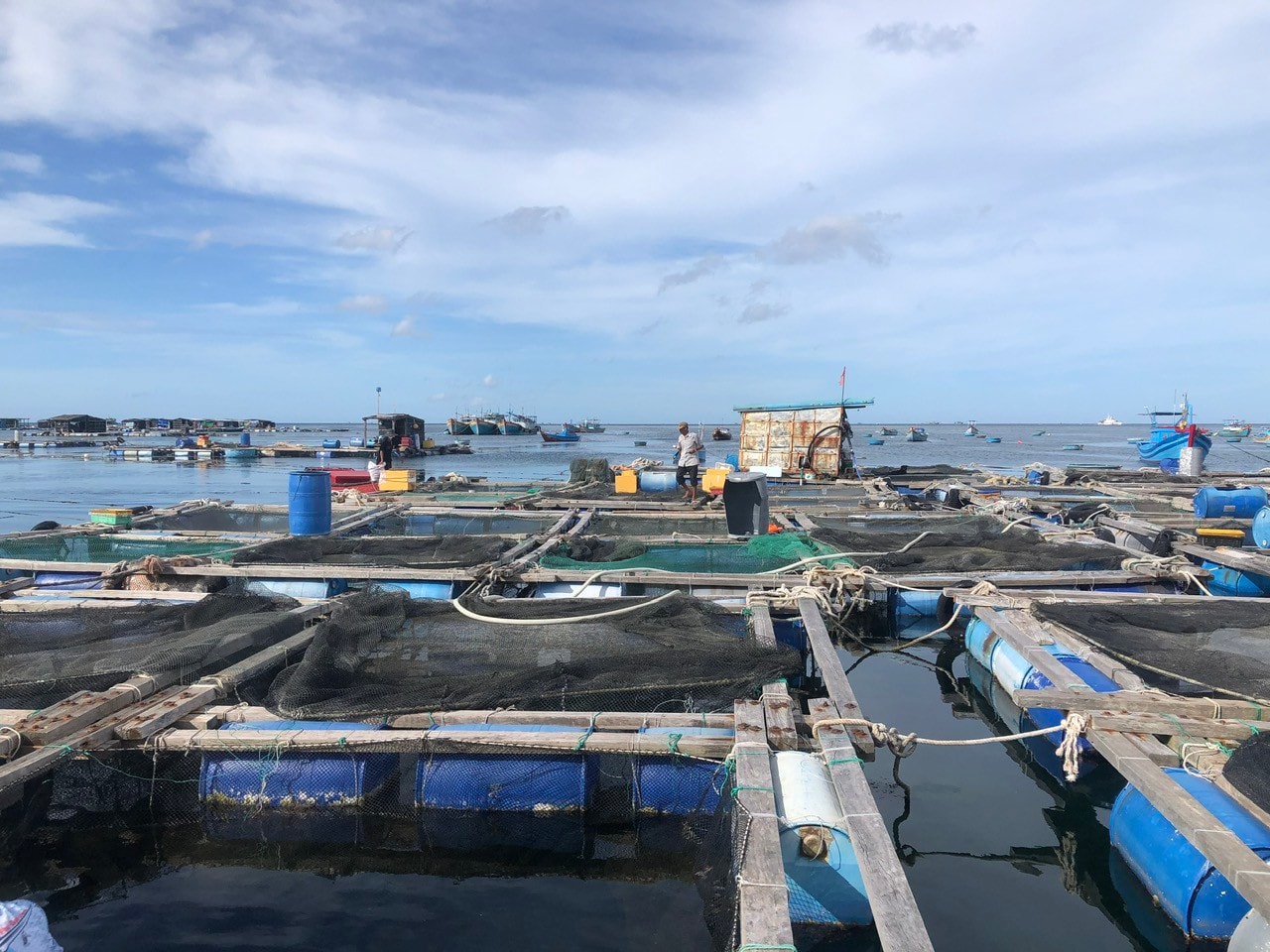 Lâm Đồng tiếp tục chuyển đổi nghề cho 3.000 ngư dân từ khai thác sang nuôi trồng thủy sản trên biển.