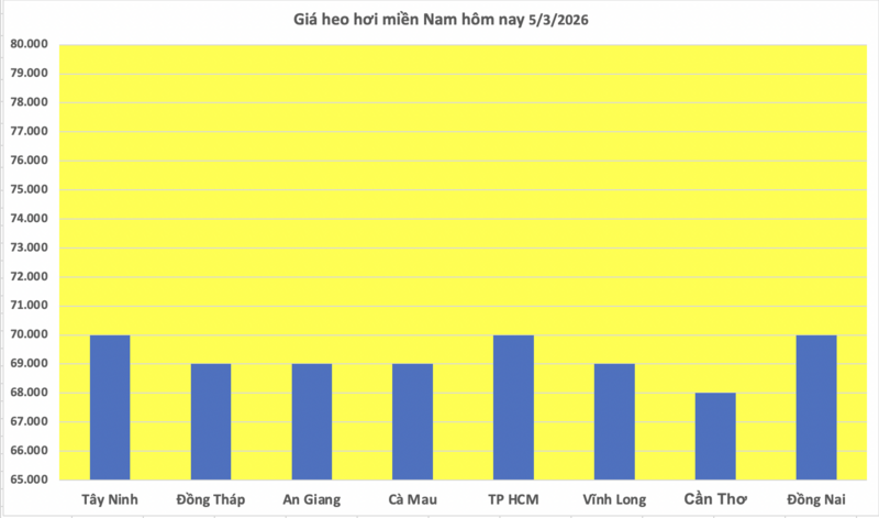 Giá heo hơi hôm nay 5/3/2026: Tiếp tục giảm nhiều nơi - 3