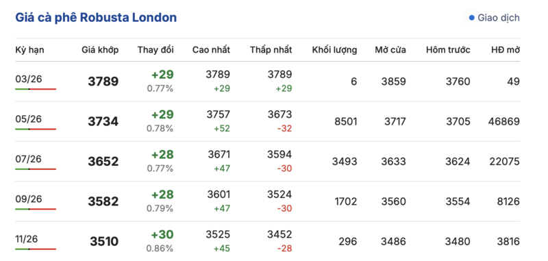 Giá cà phê hôm nay 5/3/2026: Đảo chiều giảm mạnh - 2