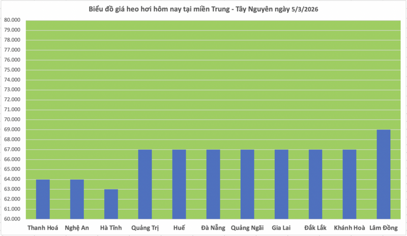 Giá heo hơi hôm nay 5/3/2026: Tiếp tục giảm nhiều nơi - 2