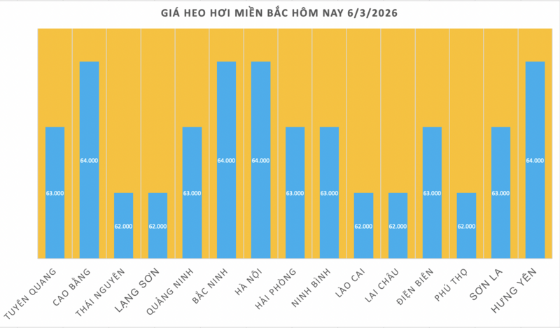 Giá heo hơi hôm nay 6/3/2026: Tiếp tục giảm nhiều nơi - 1