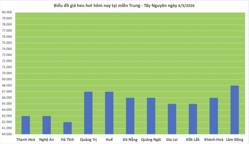 Giá heo hơi hôm nay 6/3/2026: Tiếp tục giảm nhiều nơi - 2
