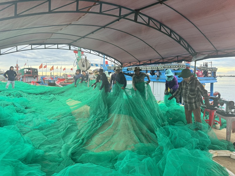 Nhiều ngư dân chấp nhận ít lợi nhuận để giữ nghề, bám ngư trường. Ảnh: Nguyễn Dương