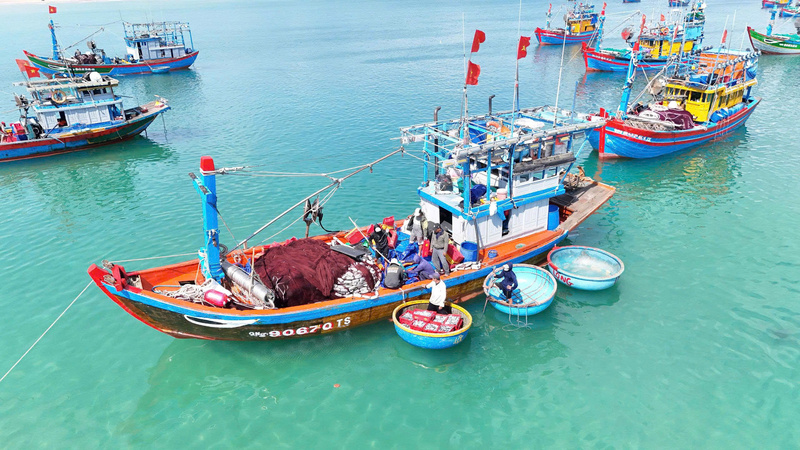 Dù còn nhiều khó khăn phía trước nhưng với ngư dân Quảng Ngãi, bám biển vẫn là mục tiêu quan trọng nhất. Ảnh: Nguyễn Dương