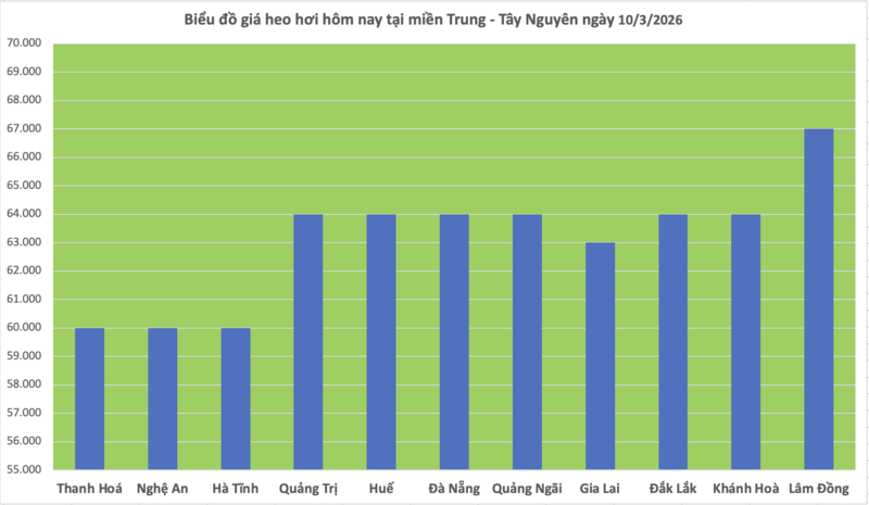 Giá heo hơi hôm nay 10/3/2026: Giảm đồng loạt tại miền Trung - 2