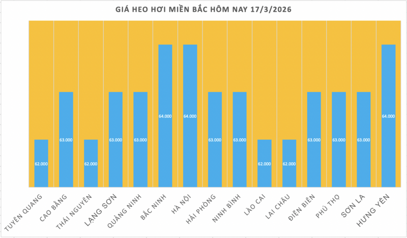 Giá heo hơi hôm nay 17/3/2026: Tăng đồng loạt 1.000 đồng tại miền Bắc - 1