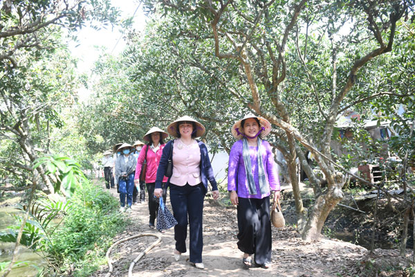 Phú Thuận hướng tới phát triển công nghiệp, thương mại, dịch vụ và du lịch làm động lực gia tăng giá trị cho kinh tế- xã hội địa phương.