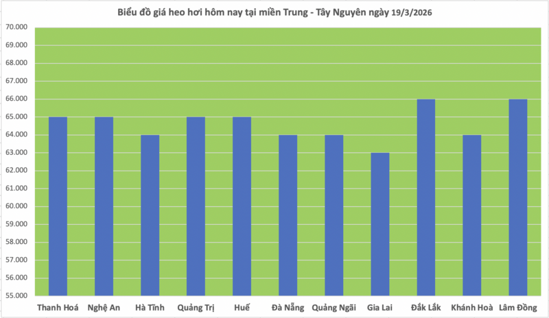 Giá heo hơi hôm nay 19/3/2026: Tăng đồng loạt từ 1.000 - 2.000 đồng/kg - 2