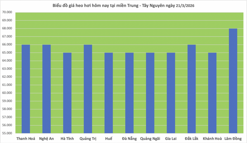 Giá heo hơi hôm nay 21/3/2026: Tăng rải rác nhiều nơi - 2
