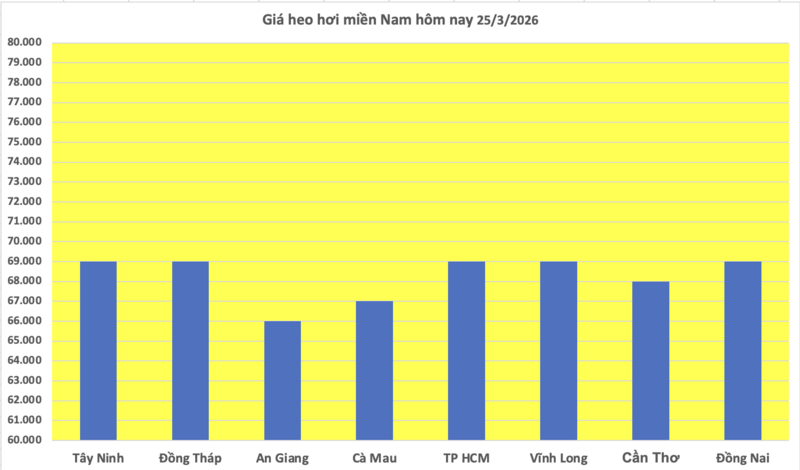 Giá heo hơi hôm nay 25/3/2026: Tiếp tục giảm sâu tại miền Bắc - 3