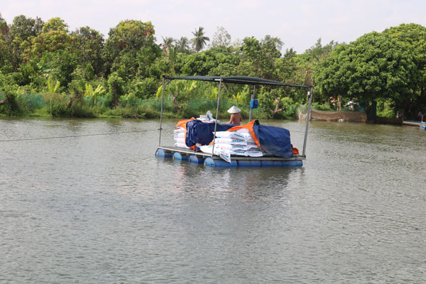 Hộ dân ở ấp Tân Thạnh (xã Tân Ngãi) chăm sóc lứa cá tra đã thả nuôi hồi đầu năm 2026.