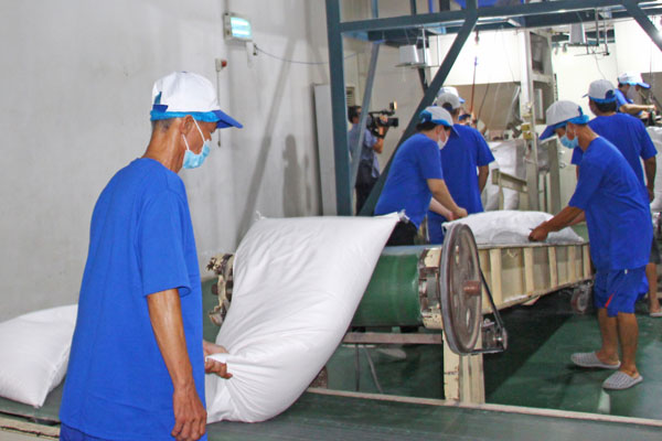 Xuất khẩu gạo đang đứng trước nhiều cơ hội lẫn thách thức đan xen.