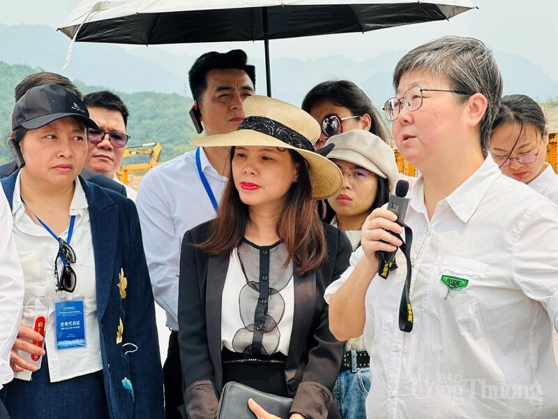 Công trình được khởi công ngày 31/3/2025, triển khai trên cơ sở Hiệp định giữa Chính phủ hai nước về cùng xây dựng công trình tại khu vực biên giới Bá Sái - Bát Xát, với vốn khoảng 300 tỷ đồng.