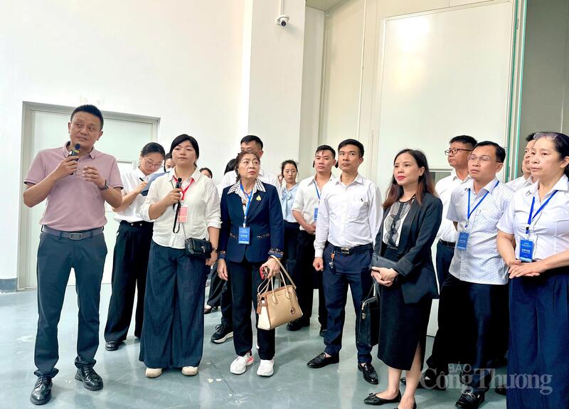 Khu công nghiệp này sẽ cung cấp dịch vụ logistics chuỗi lạnh và chế biến sản phẩm chuyên nghiệp, chuẩn hóa và hiệu quả cao cho các sản phẩm nông sản của địa phương Hà Khẩu và khu vực Việt Nam.