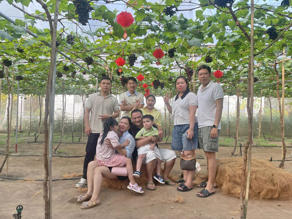 Đoàn khách trên địa bàn xã lân cận biết đến vườn nho qua TikTok và đến tham quan, hái nho.