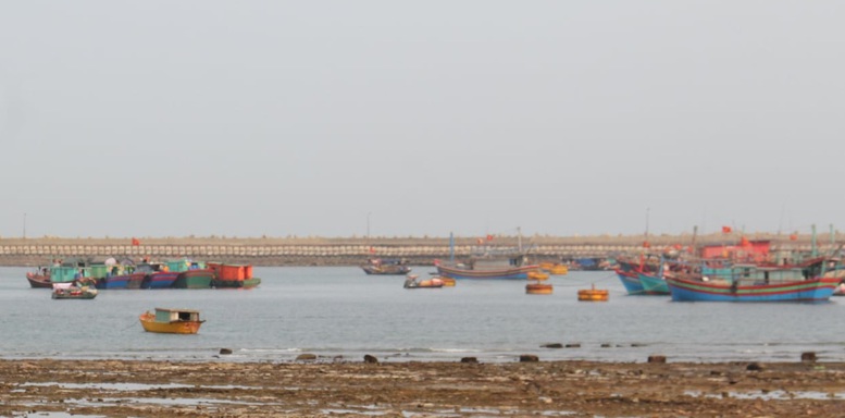 Thời điểm này là cơ hội để nông nghiệp Việt chuyển từ phụ thuộc sang tự chủ, từ giá trị thấp sang giá trị cao trong chuỗi cung ứng - Ảnh: VGP/Đỗ Hương