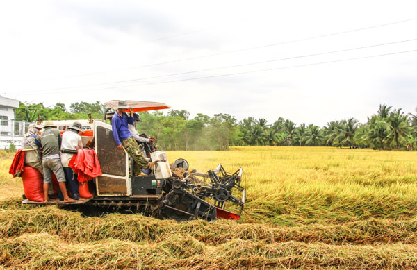 Nông dân nâng cao nhận thức sản xuất theo hướng an toàn, giảm phát thải.