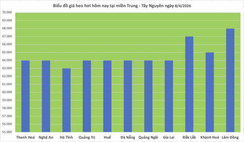 Giá heo hơi hôm nay 8/4/2026: Miền Trung tăng đến 2.000 đồng/kg - 2