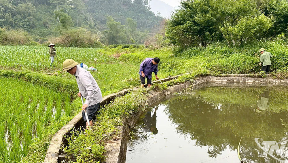 Người dân thôn Mỹ Vy, xã Thượng Minh chủ động tích trữ và điều tiết nước phục vụ sản xuất.
