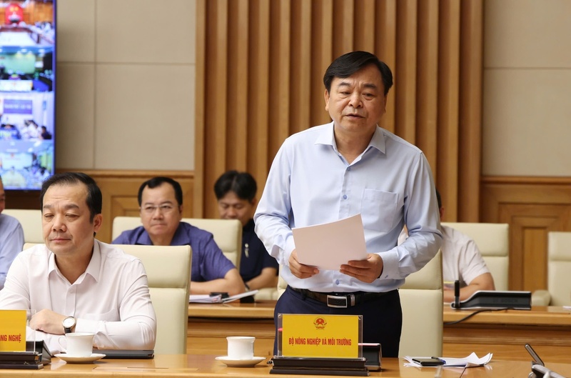 Thứ trưởng Bộ NN&MT Nguyễn Hoàng Hiệp báo cáo tại phiên họp. Ảnh: VGP/Gia Huy