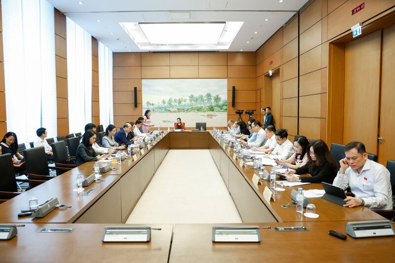 Đại biểu Đinh Thị Phương Lan, Đoàn đại biểu Quốc hội Quảng Ngãi đề xuất, dự thảo Nghị quyết quan tâm nhiều hơn đến các cơ chế chính sách để bảo tồn, phát triển văn hóa của các dân tộc thiểu số.