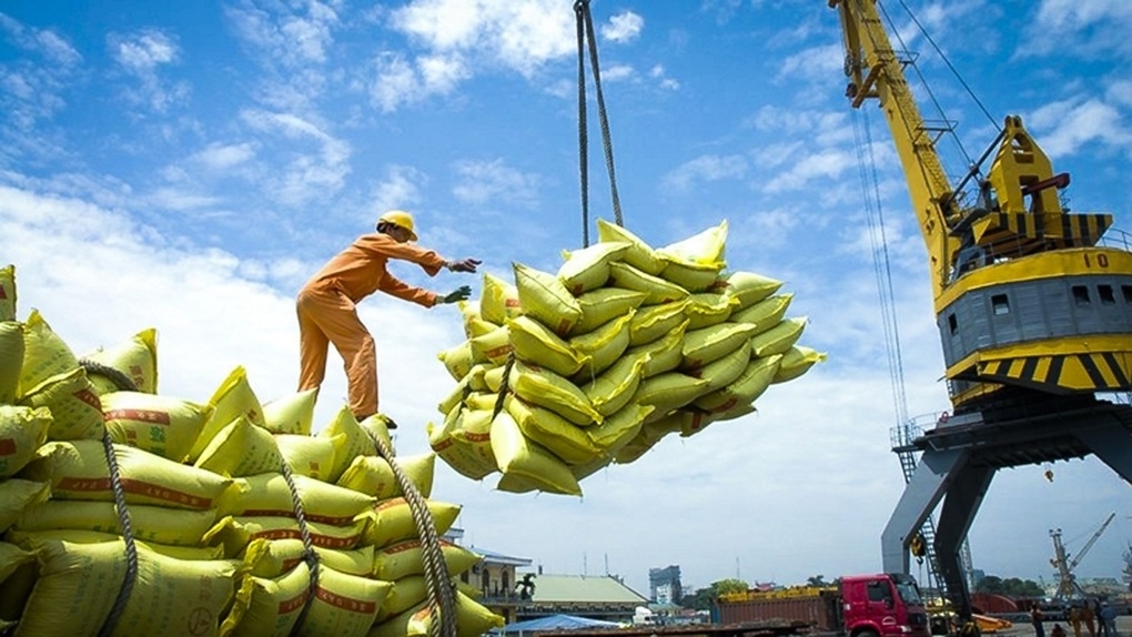 Doanh nghiệp cho rằng, việc bãi bỏ điều kiện kinh doanh giúp mở rộng cơ hội tham gia vào hoạt động xuất khẩu gạo, tuy nhiên sẽ có rủi ro xáo trộn thị trường khi nhiều doanh nghiệp không đủ tiềm lực tham gia vào lĩnh vực đặc thù này (Ảnh: TL).