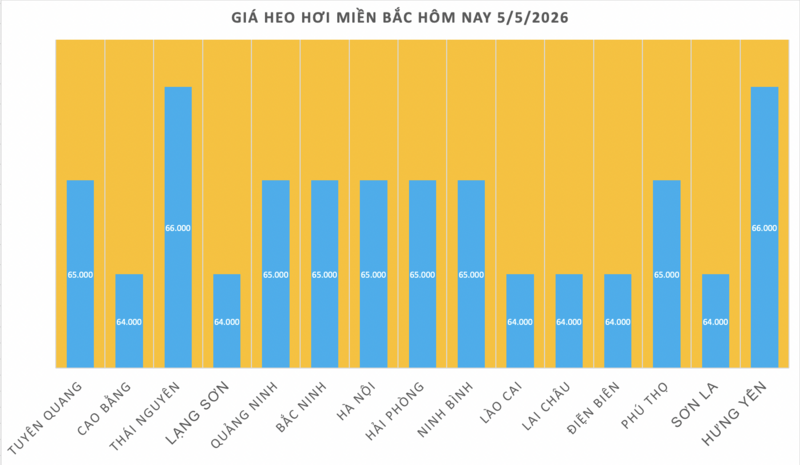 Giá heo hơi hôm nay 5/5/2026: Biến động trái chiều - 1
