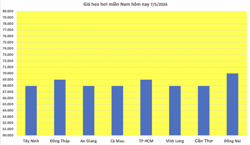 Giá heo hơi hôm nay 7/5/2026: Tăng nhẹ tại miền Bắc - 3