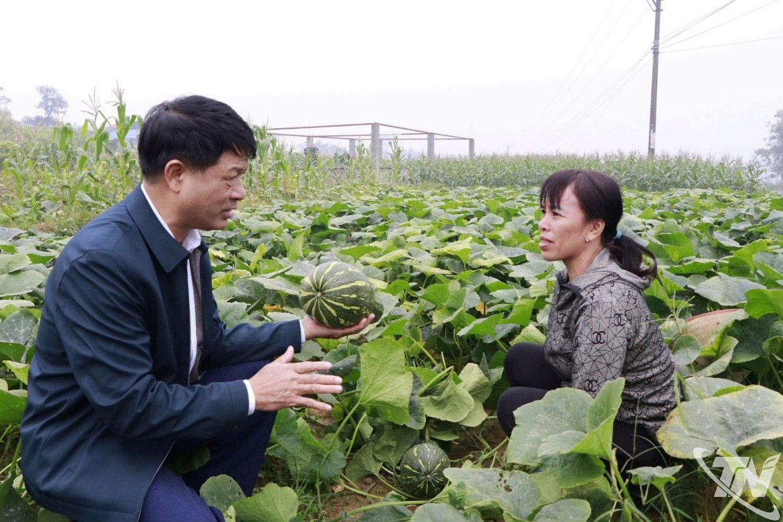Đại diện Viện Cây lương thực và cây thực phẩm chia sẻ với hộ dân trực tiếp trồng bí đỏ Mật sao tại xóm Nam 1, xã Phú Bình.