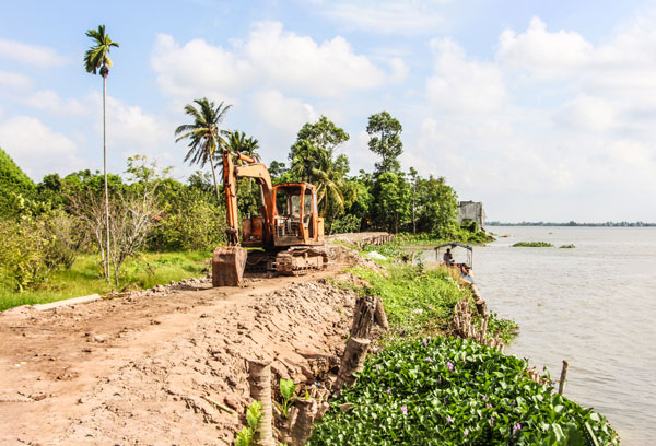 Quan tâm bảo đảm an toàn tính mạng và tài sản của người dân trong phòng chống, ứng phó thiên tai. Trong ảnh: Gia cố đê bao tại cồn Thanh Long.