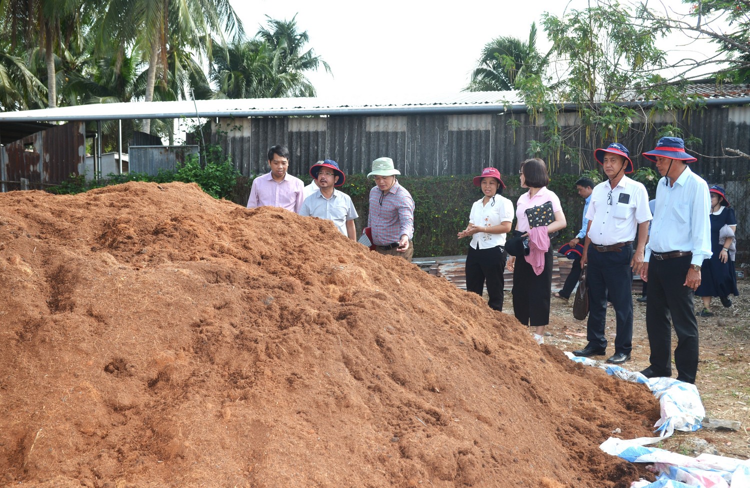 Đoàn kiểm tra nơi thực hiện sản xuất tái phụ phẩm từ dừa làm phân bón hữu cơ.