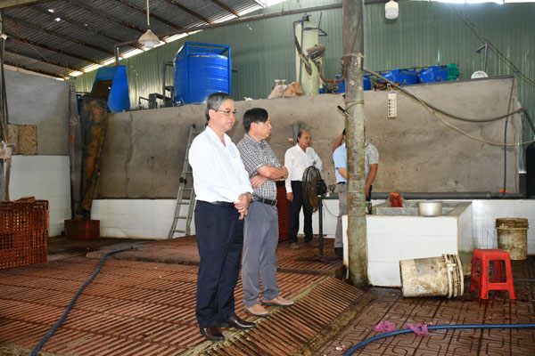 Đồng chí Châu Văn Hòa- Phó Chủ tịch UBND tỉnh khảo sát tình hình hoạt động giết mổ động vật trên địa bàn tỉnh.