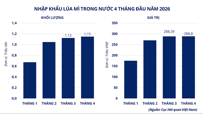 Nhập khẩu lúa mì trong nước trong 4 tháng đầu năm 2026. Nguồn: MXV