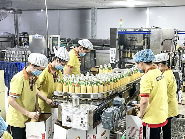 Sản xuất nước dừa xuất khẩu tại Công ty CP Đầu tư Dừa (BEINCO), phường Bến Tre.