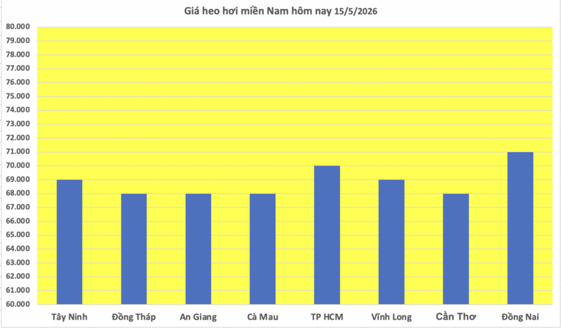 Giá heo hơi hôm nay 15/5/2026: Giữ đỉnh 71.000 đồng/kg - 3
