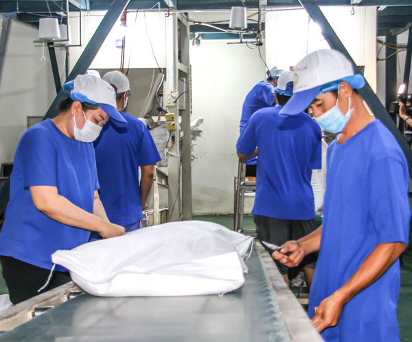 Sản xuất gạo tại Công ty CP Nông nghiệp công nghệ cao Trung An.