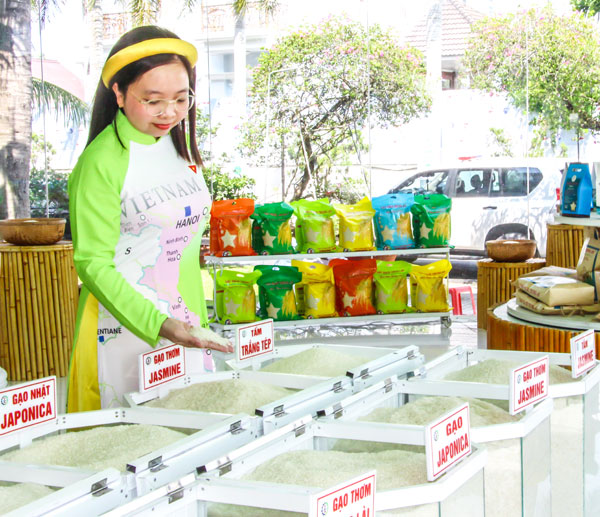 Xây dựng công cụ đánh giá tuân thủ quy trình canh tác được xem là nền tảng quan trọng nhằm nâng giá trị hạt gạo và tăng cường tính minh bạch.