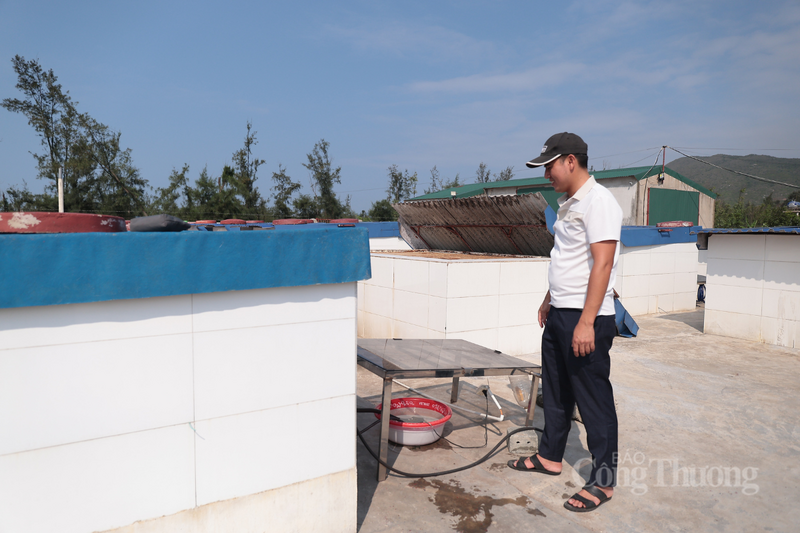 Anh Đặng Đình Minh, đại diện HTX thu mua và chế biến thủy hải sản Chiến Thắng chia sẻ, từ khi lắp đặt hệ thống tự đảo bằng năng lượng mặt trời, cơ sở đã cắt giảm được một lượng lớn chi phí nhân công trực tiếp, trong khi sản lượng cung ứng ra thị trường tăng trưởng rõ rệt.