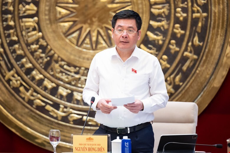 Phó Chủ tịch Quốc hội Nguyễn Hồng Diên phát biểu tại buổi làm việc.
