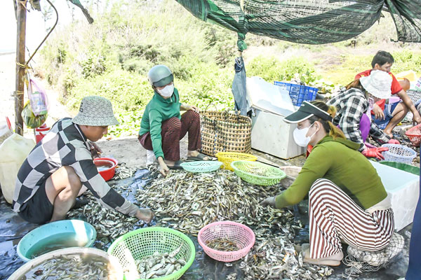 Hoạt động khai thác thủy sản tại phường Trường Long Hòa tạo việc làm và thúc đẩy các dịch vụ hậu cần nghề cá.