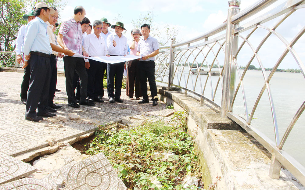 Đoàn khảo sát thực trạng sạt lở bờ kè sông Cổ Chiên đoạn qua phường Tân Ngãi.