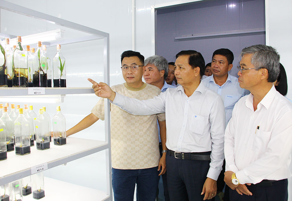 Đoàn đến khảo sát mô hình sản xuất cây giống nuôi cấy mô công nghệ cao của Công ty TNHH Công nghệ sinh học ViGen.