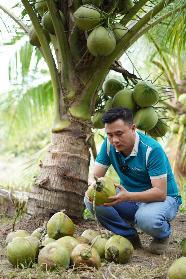 Nông dân ngày càng nâng cao nhận thức sản xuất xanh, an toàn, thích ứng biến đổi khí hậu. Ảnh: TRÀ MY