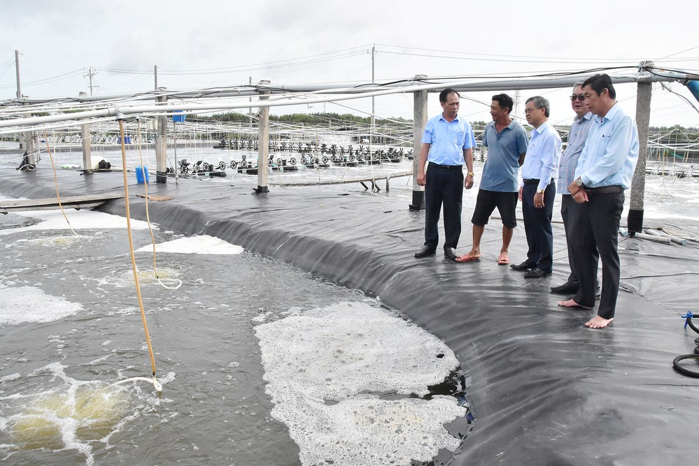 Đoàn khảo sát khu vực nuôi tôm công nghệ cao của hộ dân Nguyễn Minh Vương, phường Trường Long Hòa.