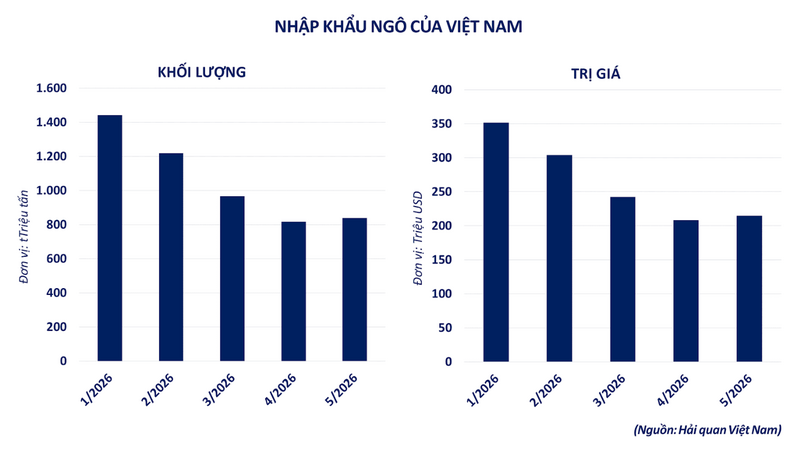 Nhập khẩu ngô của Việt Nam. Nguồn: MXV
