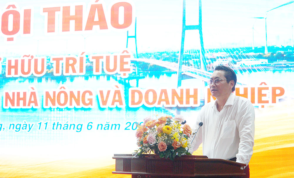 Phó Chủ tịch UBND tỉnh Nguyễn Quỳnh Thiện phát biểu tại hội nghị.