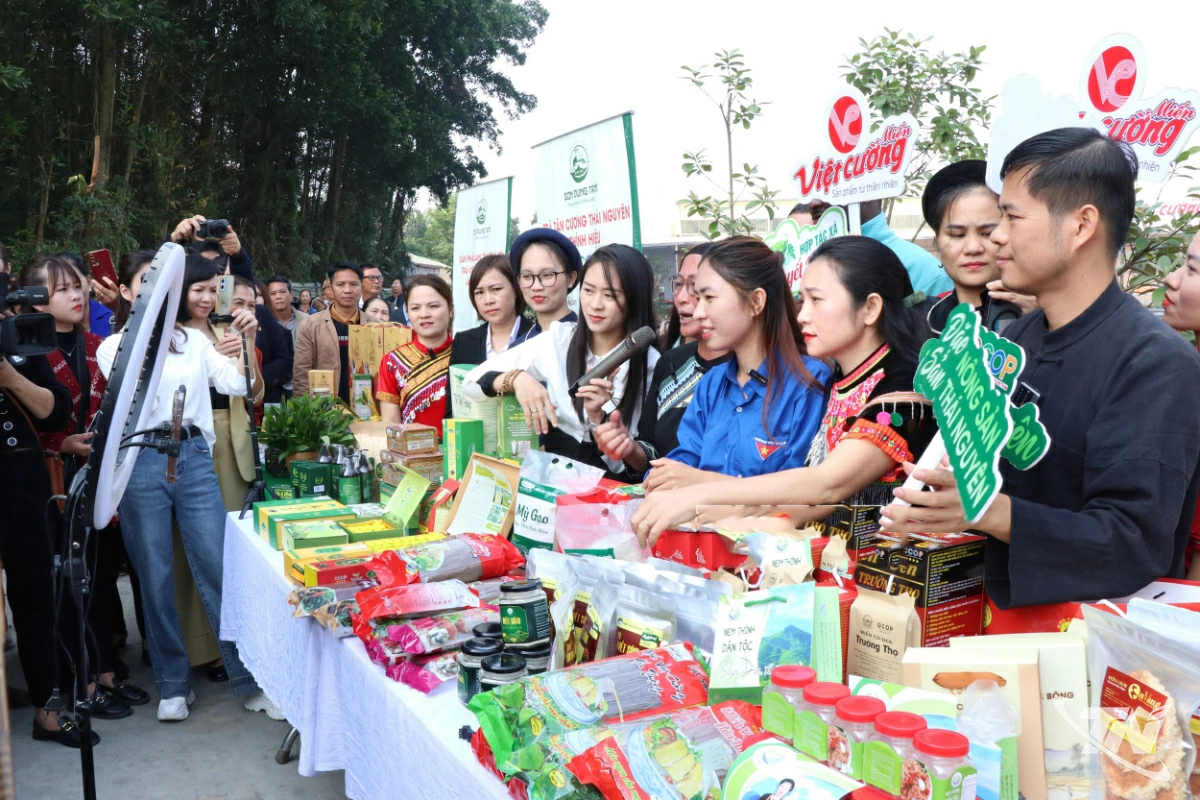 HTX miến Việt Cường (xã Đồng Hỷ) ứng dụng công nghệ số trong bán hàng